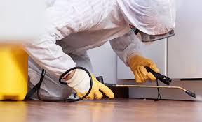 Real Estate Pest Inspections in Surprise, AZ